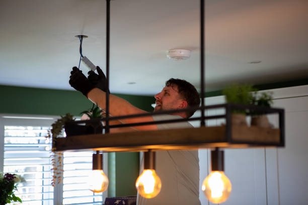 Best Electric Panel Repair  in Saluda, SC
